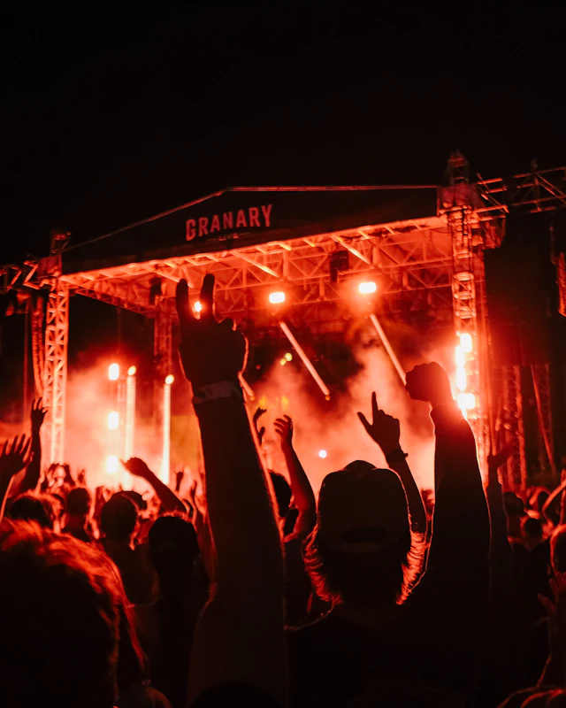 A concert crowd with their hands in the air